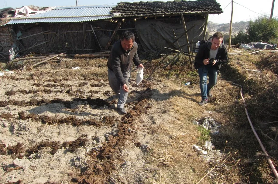 Application of Uchit by a local farmer